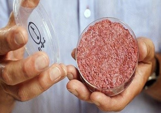 دراسة: اللحوم المصنوعة مخبرياً أسوأ على البيئة والمناخ من الطبيعية