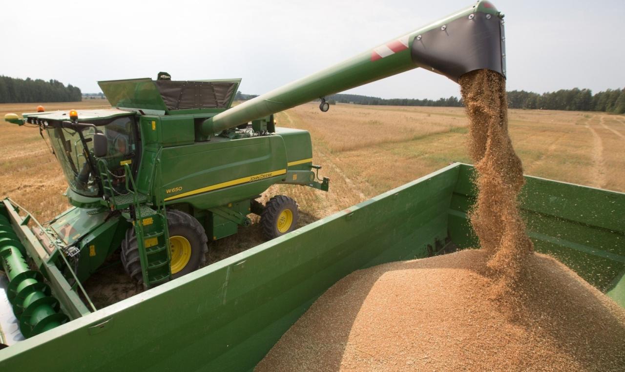 روسيا تسعى لزيادة صادرات الحبوب إلى الإمارات